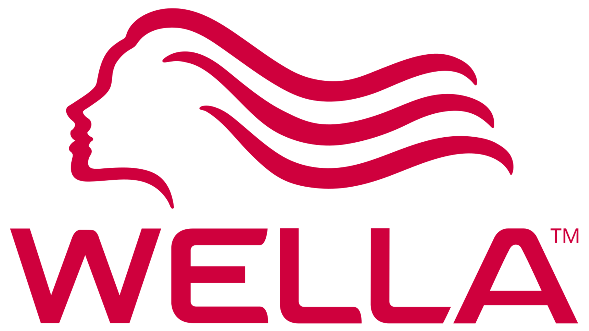Alle Kunden 0000s 0014 Logo Wella